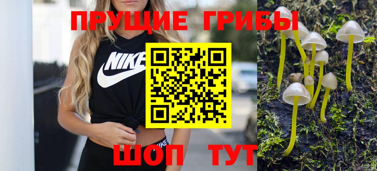 Вятские Поляны  Галлюциногенные грибы ЛСД  Псилоцибиновые грибы GOLDEN TEACHER  Вход с VPN 
